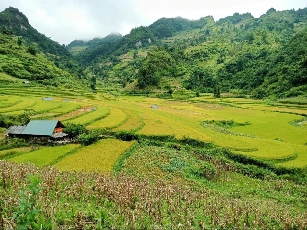 Bac Ha Charm Stay 외부 사진